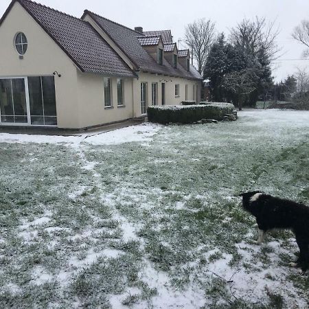 Au Coeur De La Flandre Appartement Noordpeene Buitenkant foto