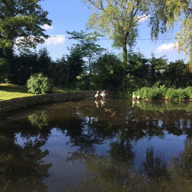 Au Coeur De La Flandre Appartement Noordpeene Buitenkant foto