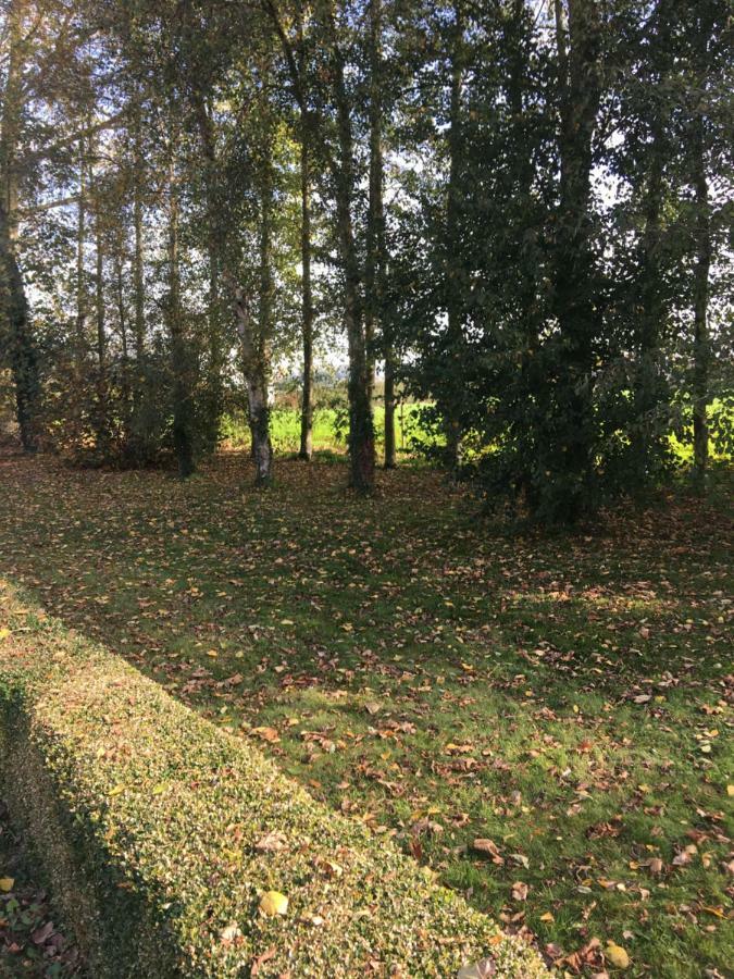 Au Coeur De La Flandre Appartement Noordpeene Buitenkant foto