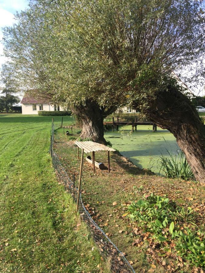 Au Coeur De La Flandre Appartement Noordpeene Buitenkant foto
