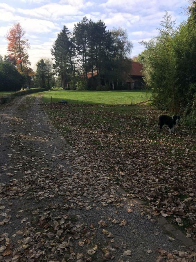 Au Coeur De La Flandre Appartement Noordpeene Buitenkant foto