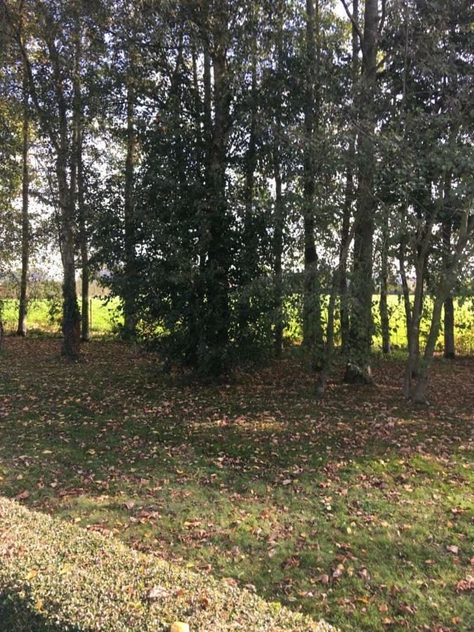 Au Coeur De La Flandre Appartement Noordpeene Buitenkant foto
