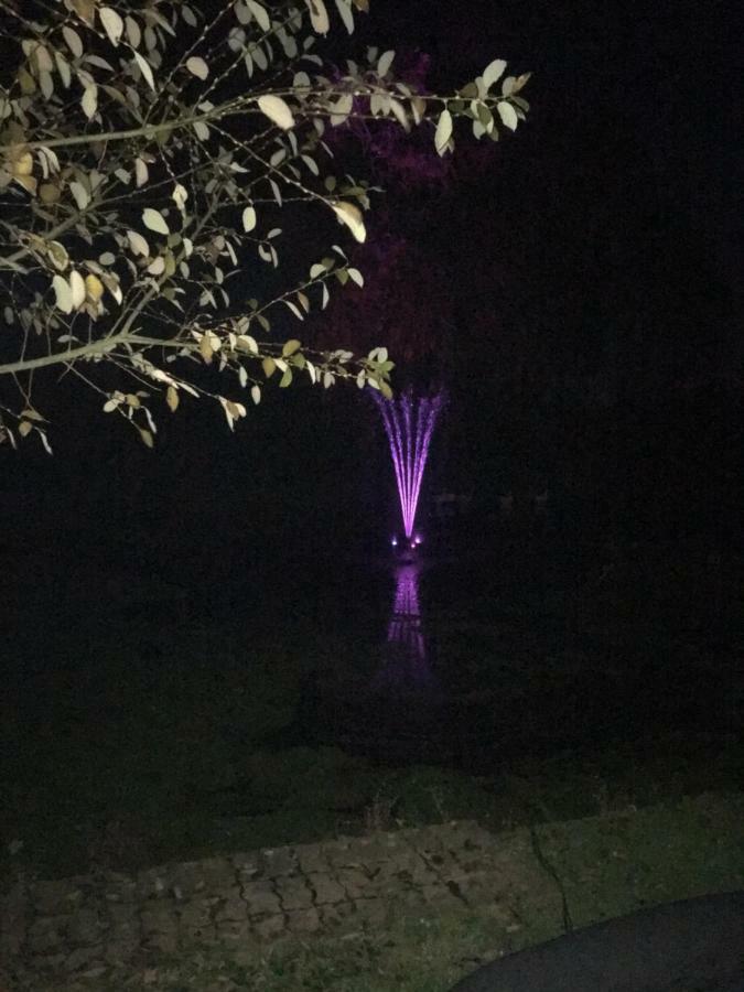 Au Coeur De La Flandre Appartement Noordpeene Buitenkant foto