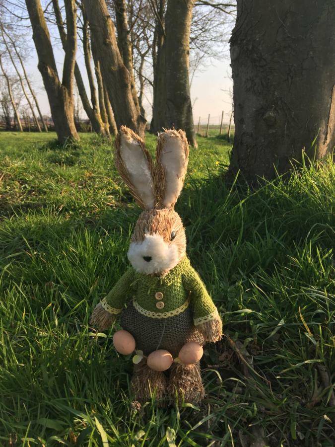 Au Coeur De La Flandre Appartement Noordpeene Buitenkant foto